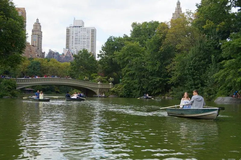 Row Boating in Central Park, New York City Andrea Peacock