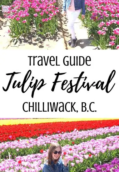 A travel guide to the Chilliwack Tulip Festival near Vancouver, B.C.