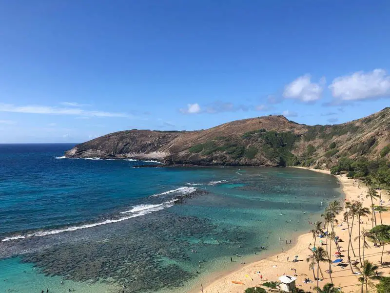 Guide to Snorkeling in Hanauma Bay Hawaii Andrea Peacock