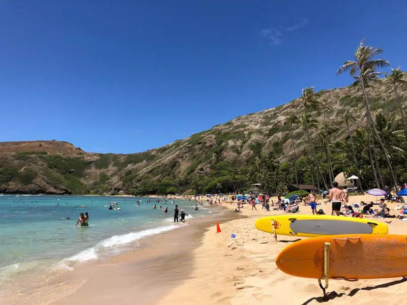 Guide to Snorkeling in Hanauma Bay Hawaii Andrea Peacock