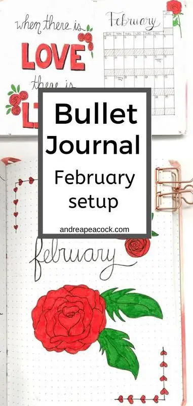 February bullet journal setup