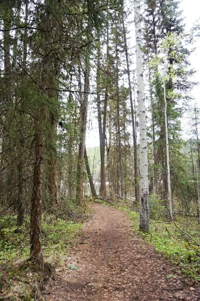 Isobel Lake hike Kamloops hiking guide