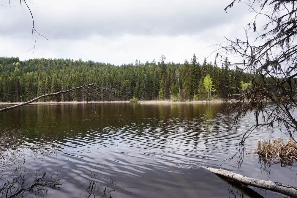 Isobel Lake hike