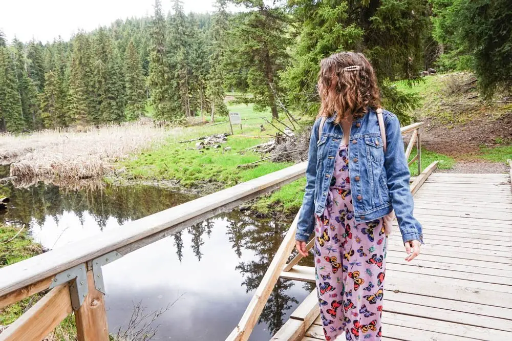 Isobel Lake hike