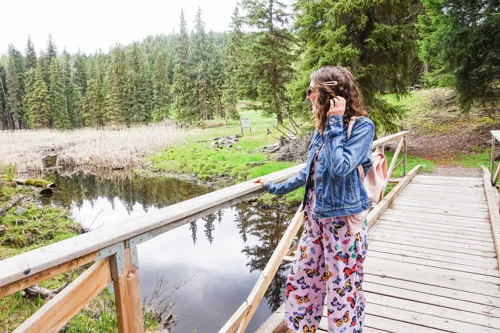 Isobel Lake hike