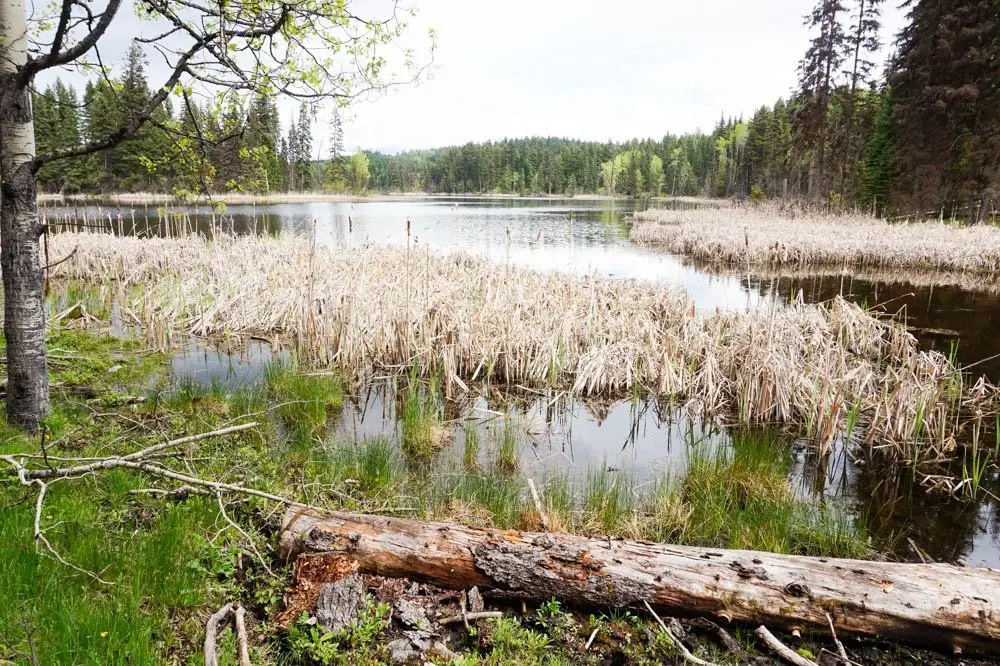 Isobel Lake hike