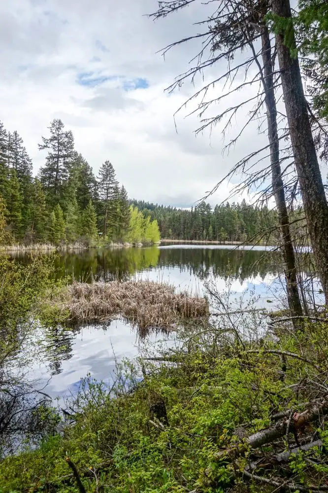 Isobel Lake hike Kamloops hiking guide