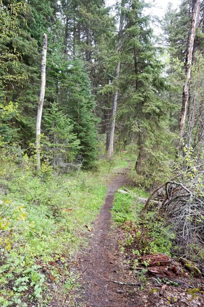 Isobel Lake hike Kamloops hiking guide