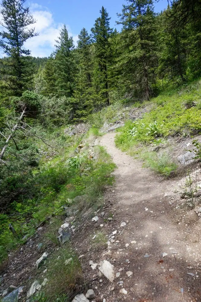 Paul Lake Provincial Park Kamloops hiking guide