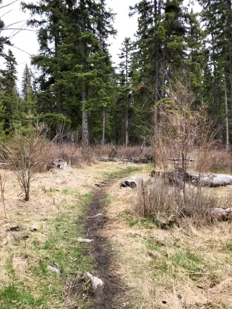 McConnell Lake Provincial Park Kamloops hiking guide