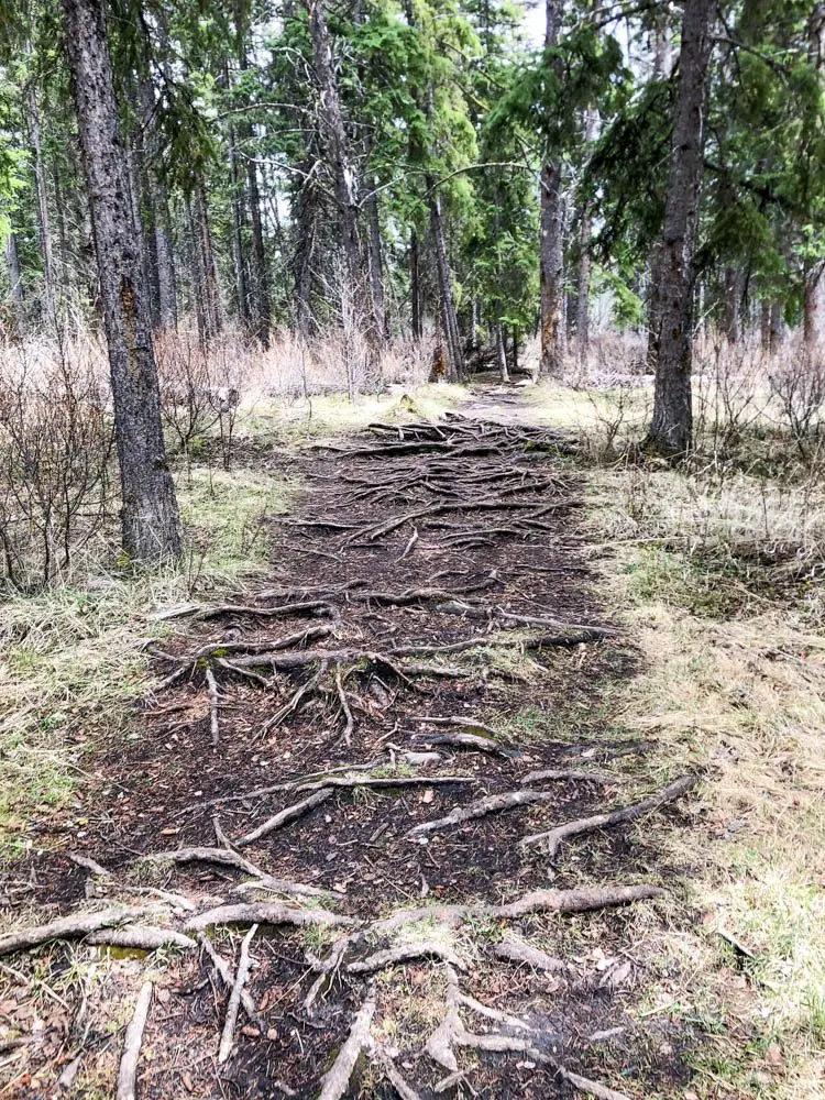 McConnell Lake Provincial Park Kamloops hiking guide