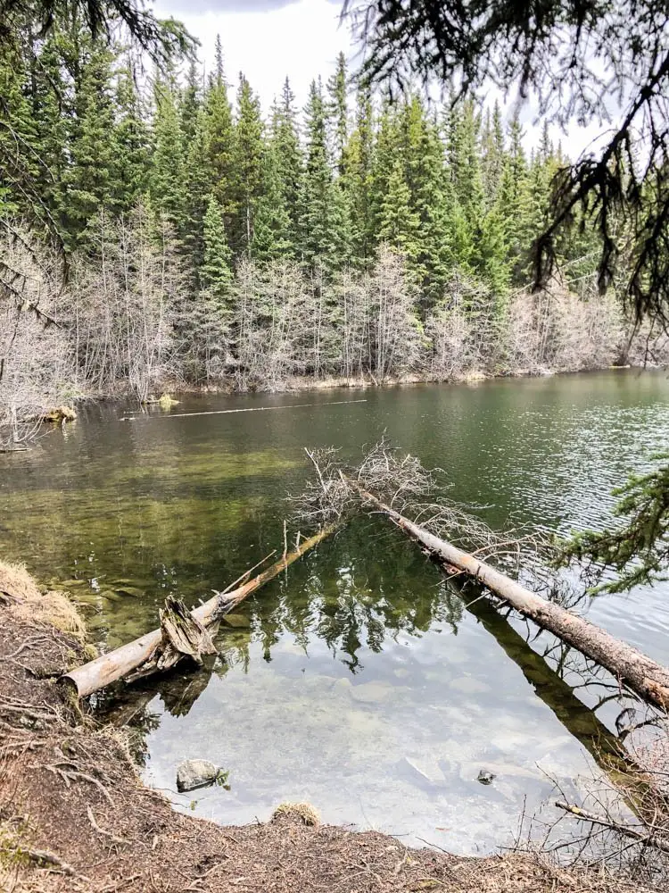 McConnell Lake Provincial Park Kamloops hiking guide