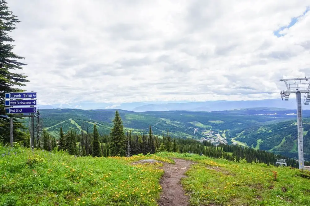 Sun Peaks, Kamloops wildflower hike