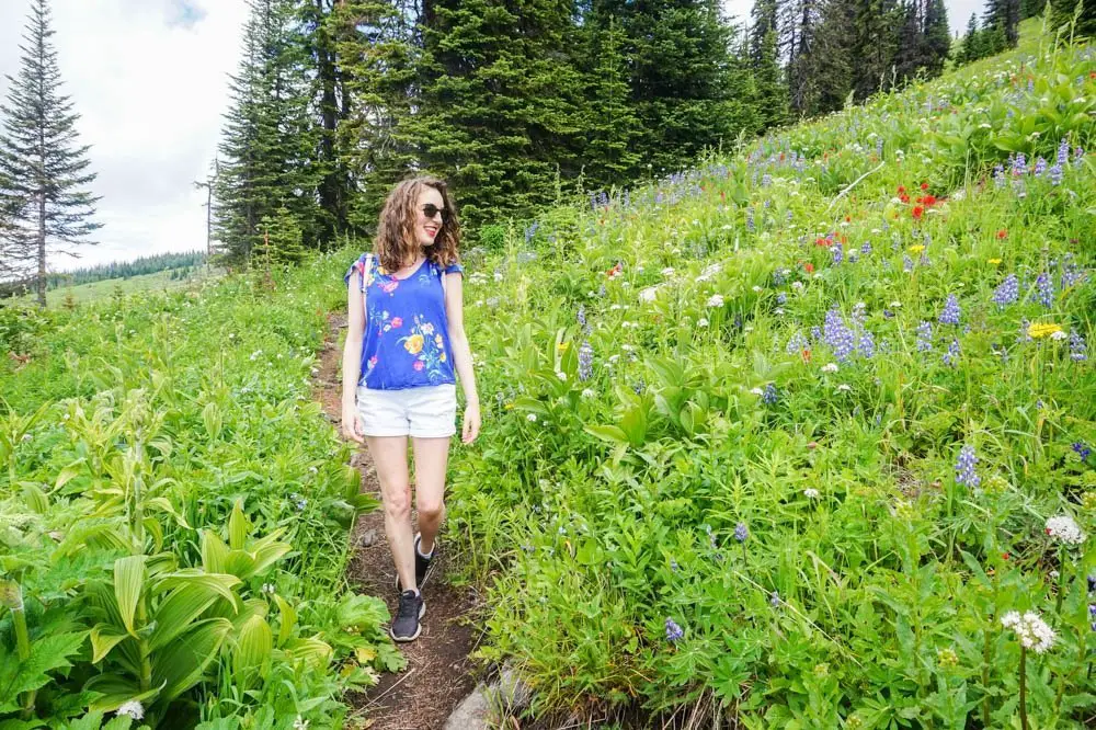 Sun Peaks, Kamloops wildflower hike