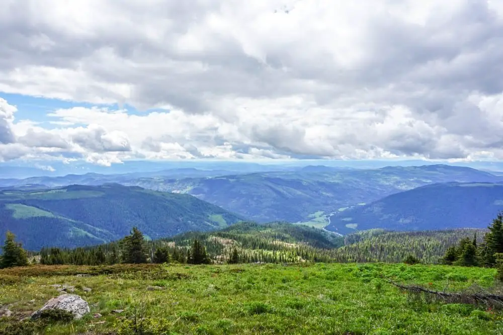 Sun Peaks, Kamloops wildflower hike