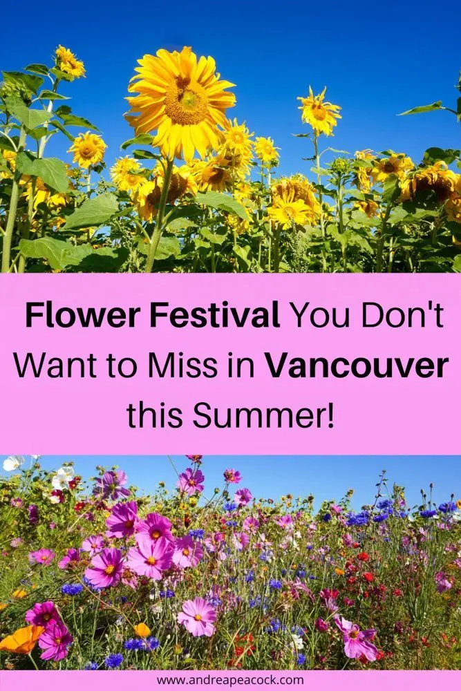 This beautiful flower festival near Vancouver, British Columbia cannot