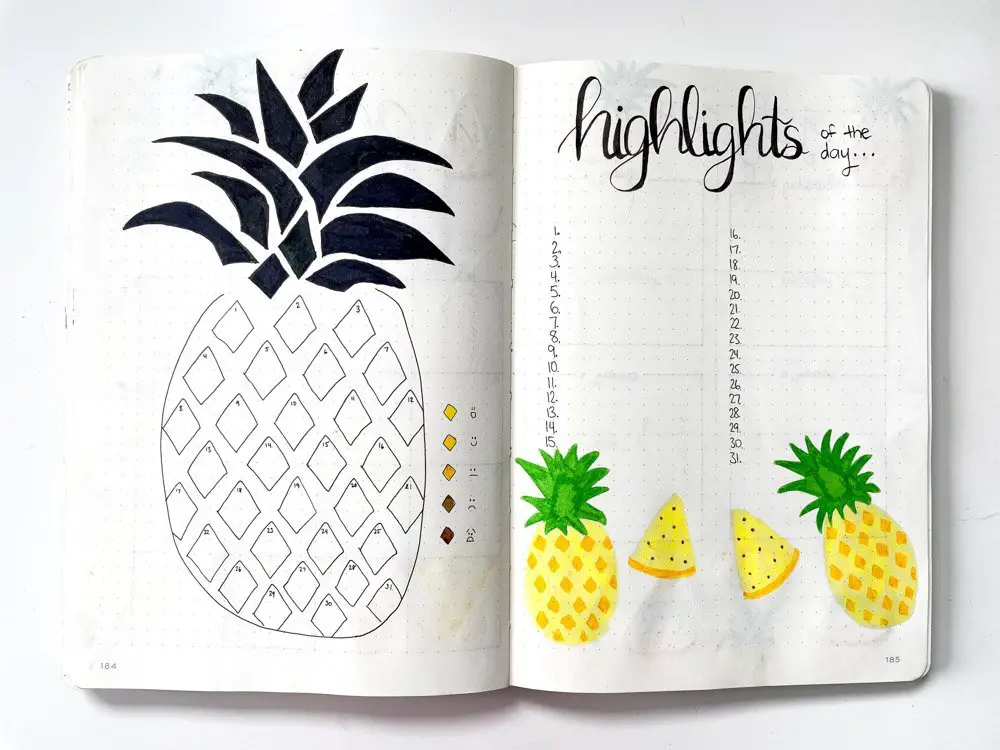 bullet journal pineapple mood tracker and highlights of the day spread