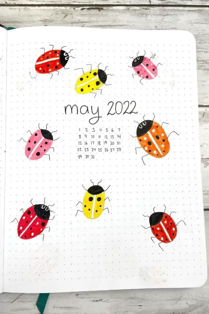 May bullet journal ladybug cover page