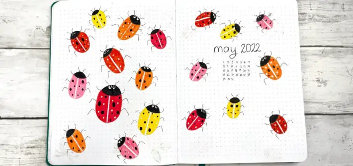 May bullet journal layout