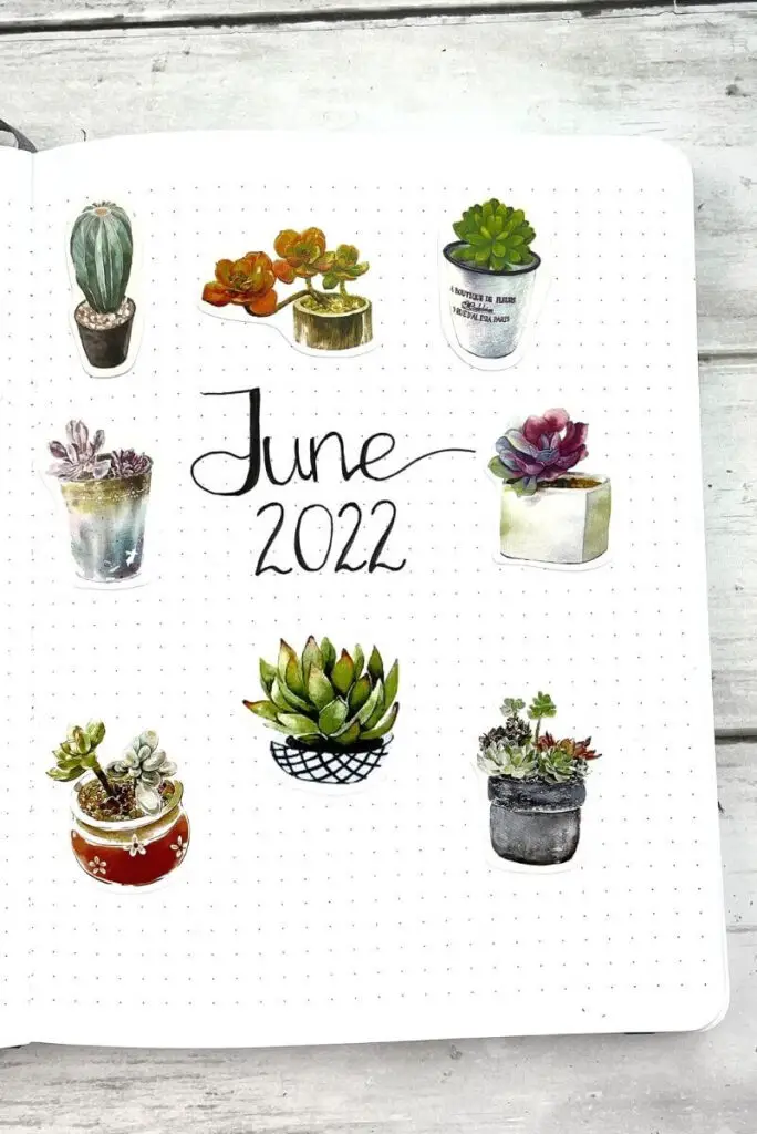 bullet journal June cover page filled with succulent stickers