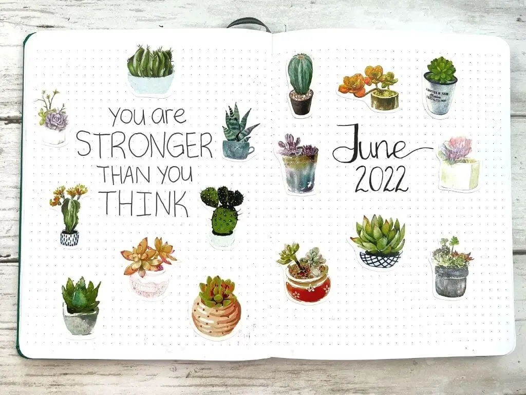 june bullet journal spread with a succulent theme